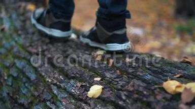 在秋天的森林里，少年的脚一步一步地走在倒下的树木上-关闭慢动作